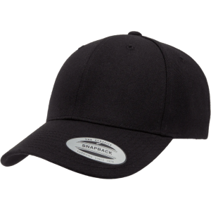 Curved Bill Snapback