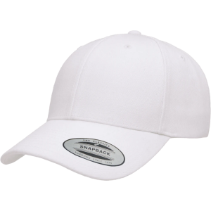 Curved Bill Snapback