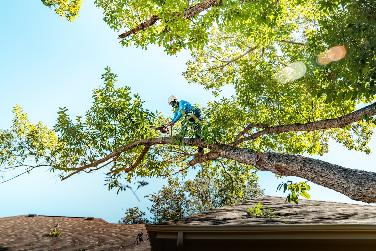 Arborist climbing wearing a custom embroidered cap