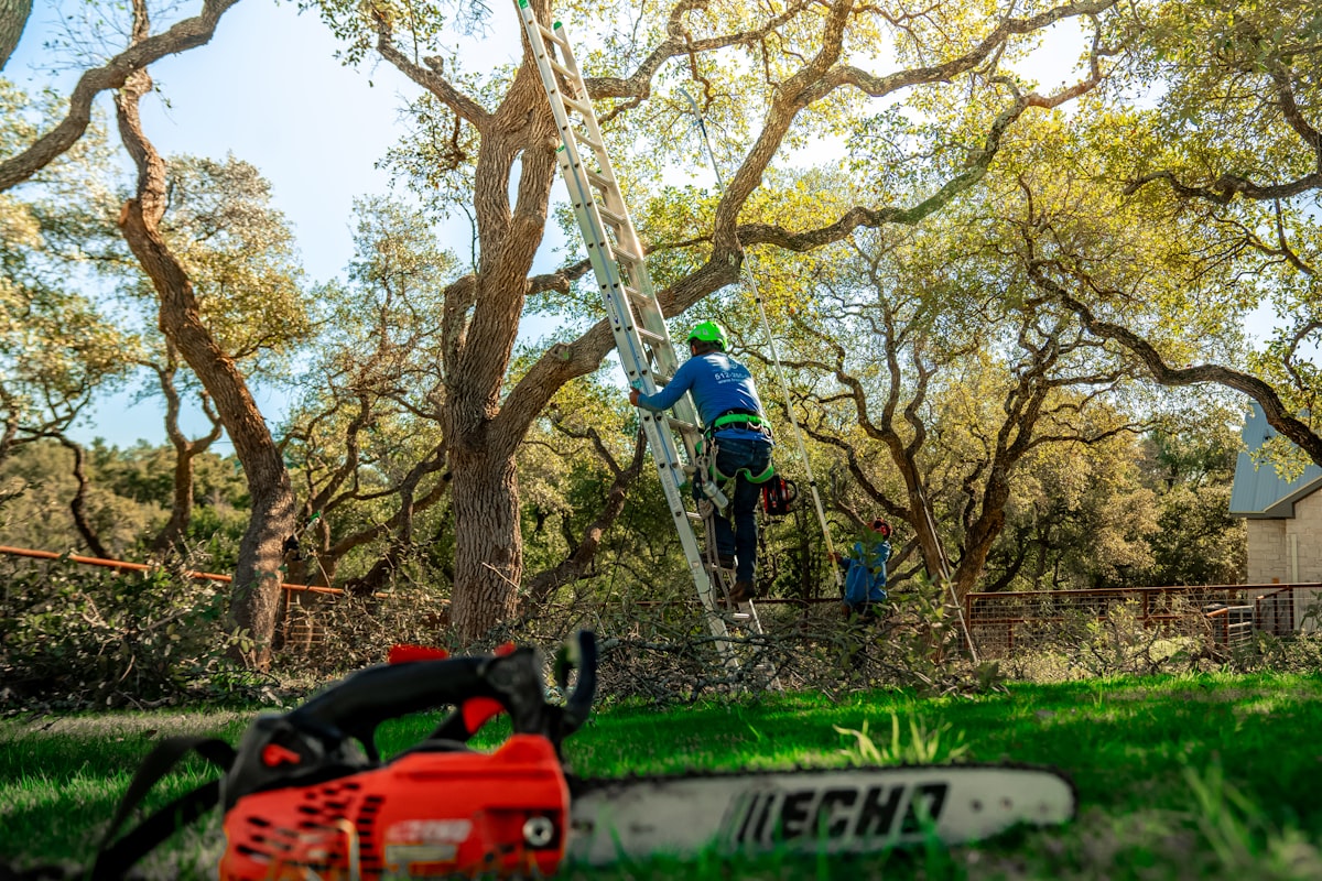 Tree service professional on a job site in branded gear